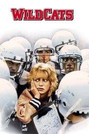 Wildcats tek parça izle
