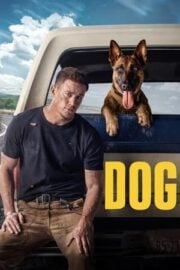 Köpek – Dog Türkçe dublaj izle
